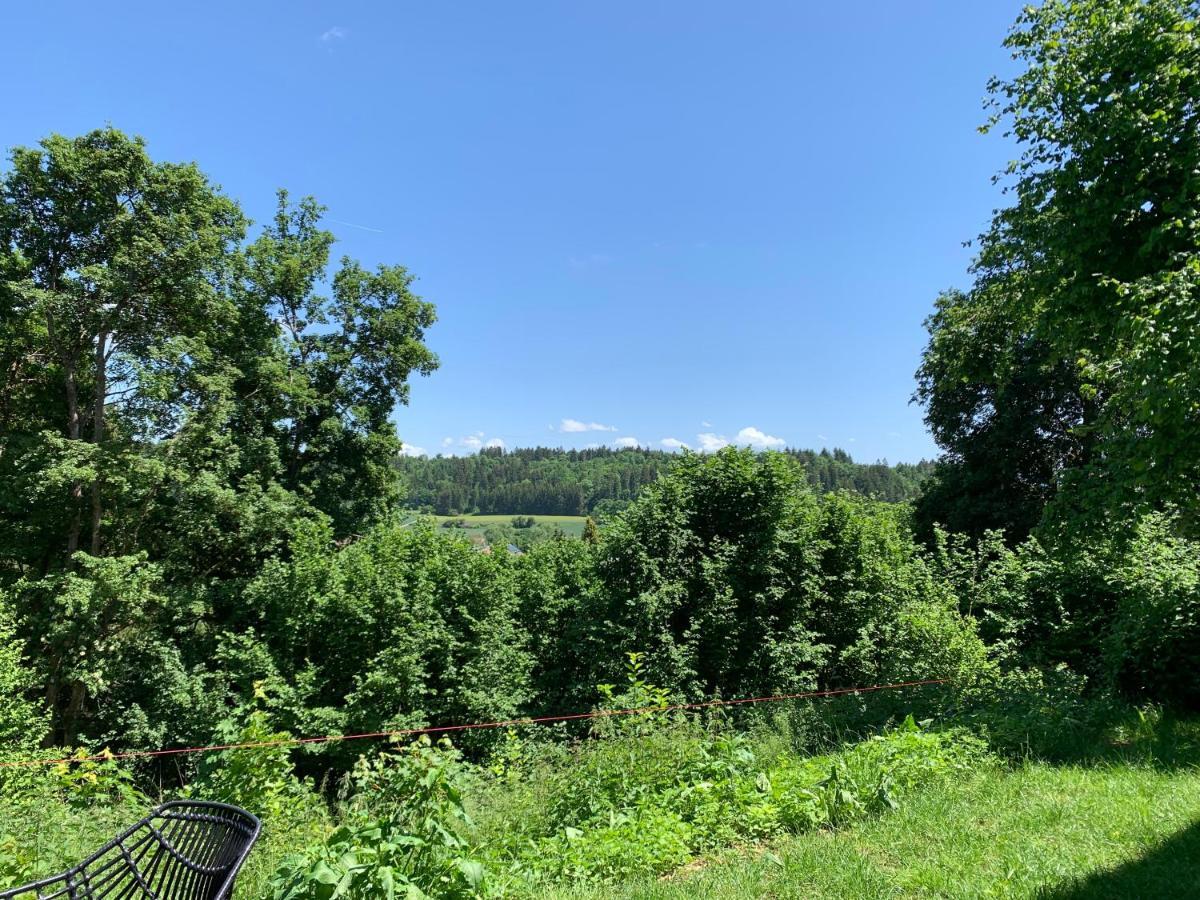 Moderne Wohnung Im Gruenen Mit Privatem Garten Donaueschingen Exteriör bild
