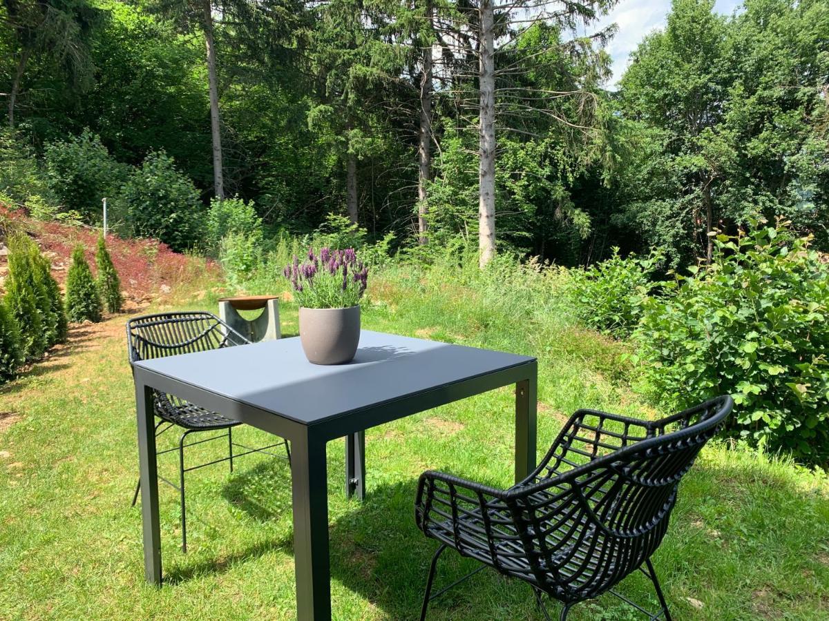 Moderne Wohnung Im Gruenen Mit Privatem Garten Donaueschingen Exteriör bild