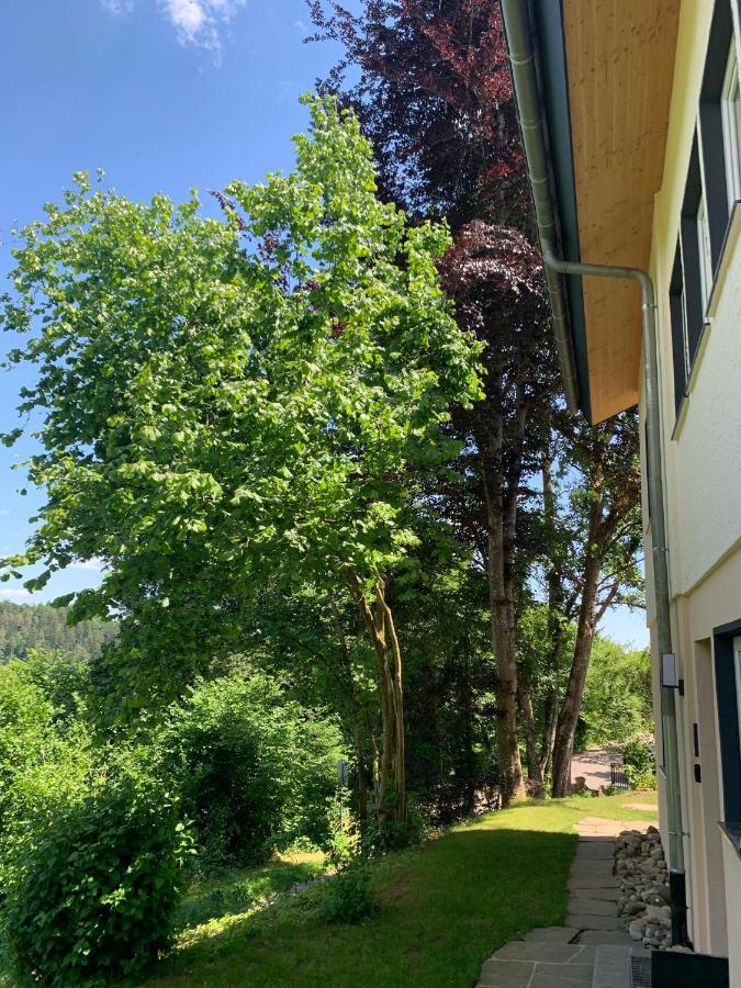 Moderne Wohnung Im Gruenen Mit Privatem Garten Donaueschingen Exteriör bild