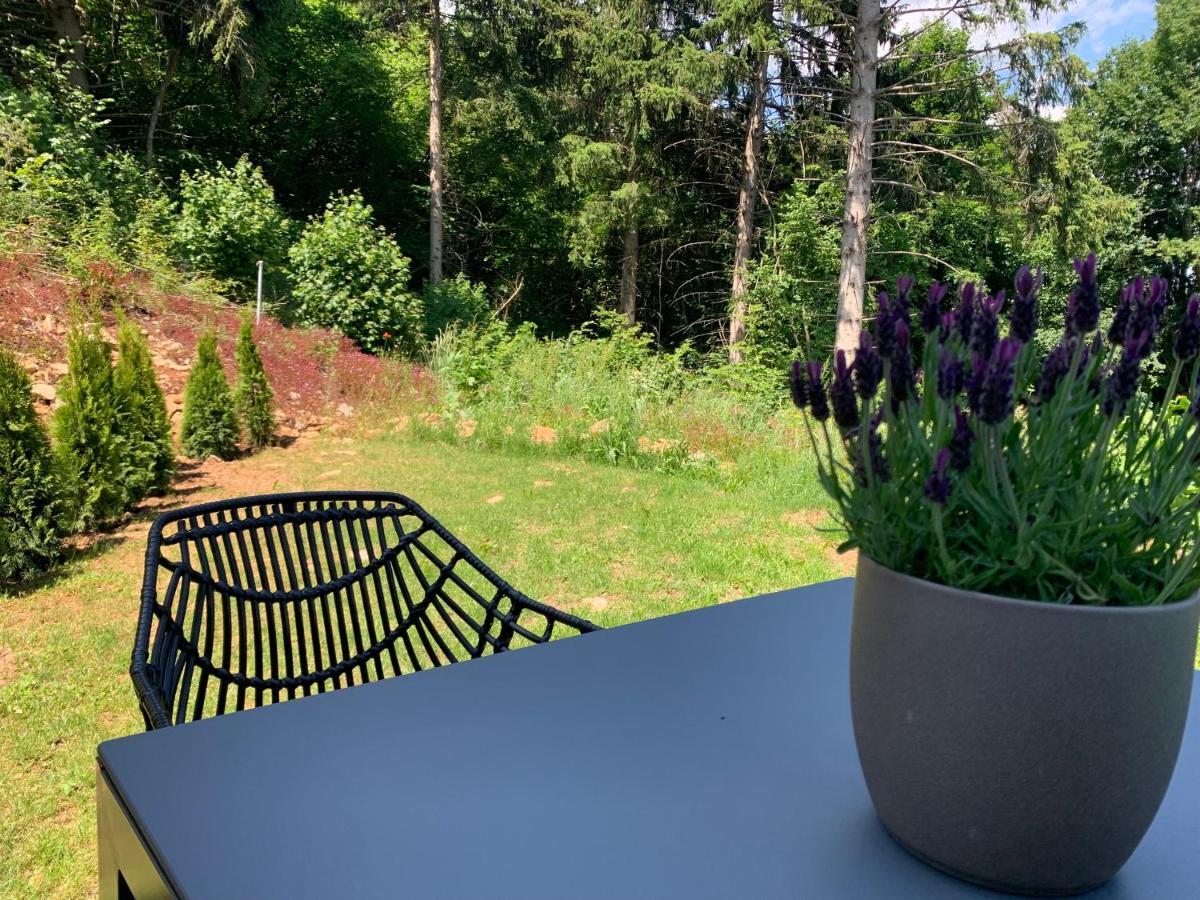 Moderne Wohnung Im Gruenen Mit Privatem Garten Donaueschingen Exteriör bild